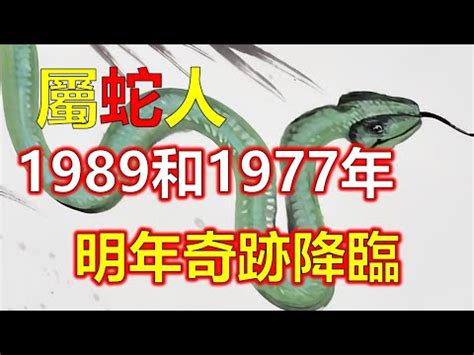 1989 屬蛇|1989年的屬蛇人是什麼命？什麼年齡開始享福？特別准！